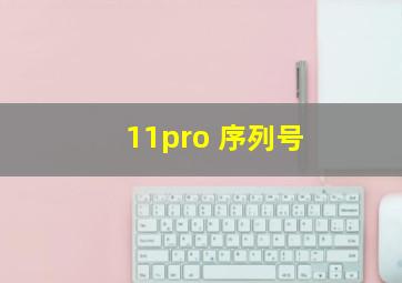 11pro 序列号